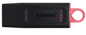 256GB-USB3-2-Gen1-DataTraveler-Exodia-Black-Pink-preview