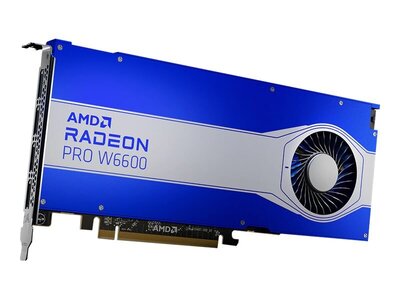 AMD4806298