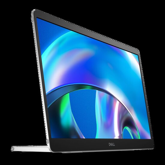 Dell Pro Plus P1425 - LED monitor - 14