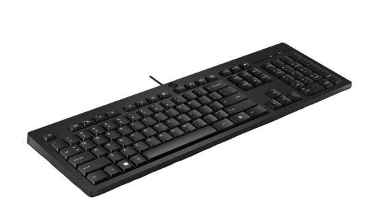 HP_125_Wired_Keyboard_Compatible_with_Windows_10_D-preview