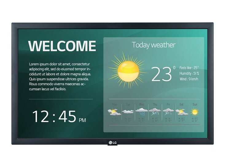 LG DIGITAL DISPLAY (SM3G) 22
