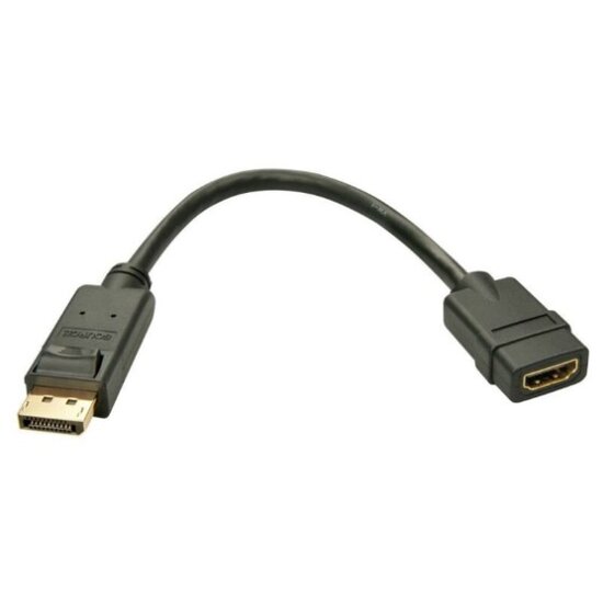 LIN41005-Lindy-DP-1-2-HDMI-1-3-Conv.1-preview