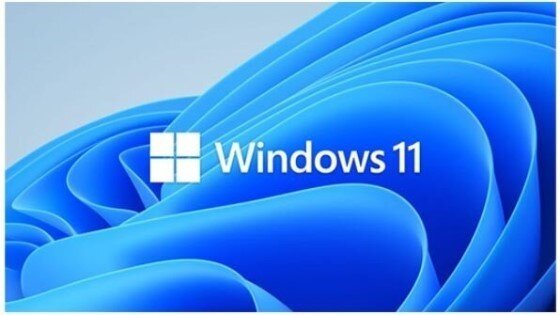 MICROSOFT_OEM_WINDOWS_11_PRO_64_BIT_FOR_WORKSTATIO-preview