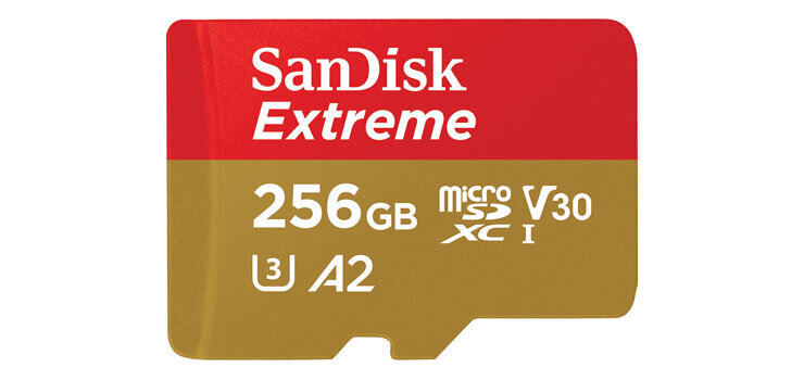 MICRO_SD_CARD_EXTREME_256GB_1-preview