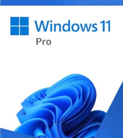 Microsoft Windows 11 Pro Full sold version English USB retail