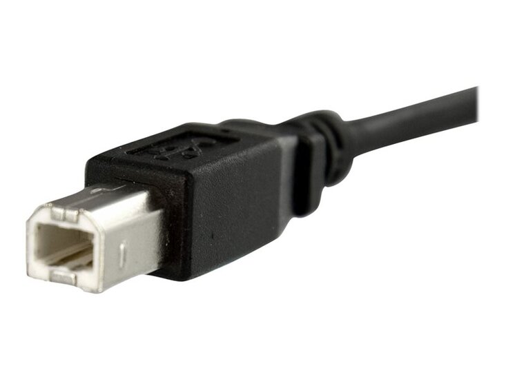 StarTech_com_3_ft_Panel_Mount_USB_Cable_B_to_B_F_M-preview